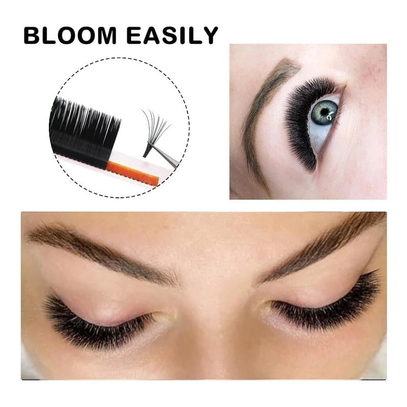 Blister Easy Bloom Masscaku Autofloración